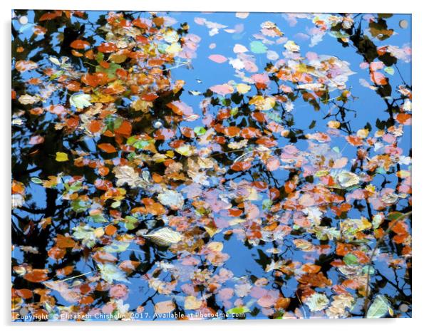 Leaves in the river Acrylic by Elizabeth Chisholm