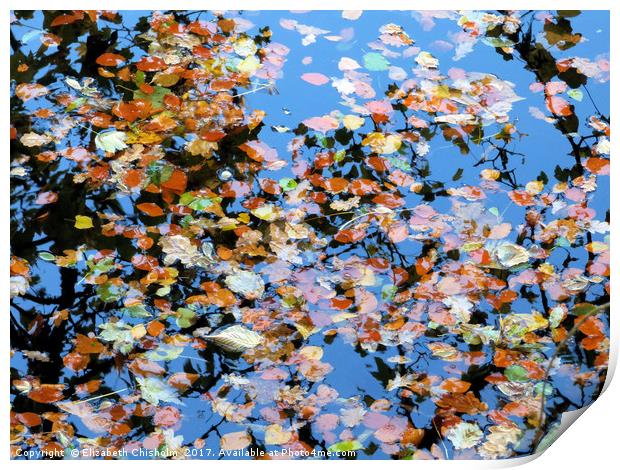 Leaves in the river Print by Elizabeth Chisholm