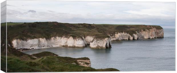 Flamborough Head, Yorkshire Canvas Print by Janet Mann