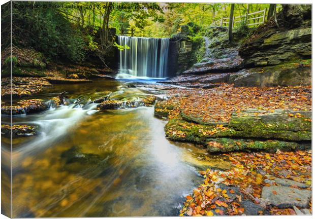 Nant Mill Waterfall Autumn Canvas Print by Pete Lawless