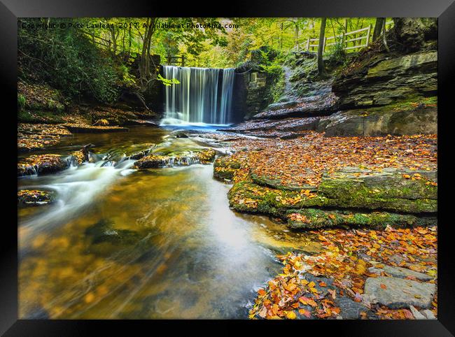 Nant Mill Waterfall Autumn Framed Print by Pete Lawless