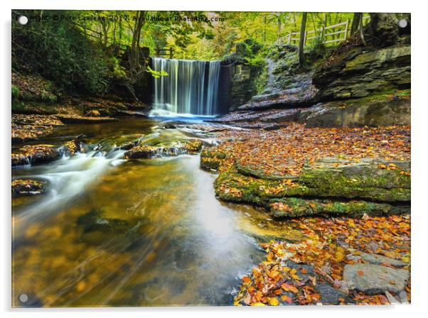 Nant Mill Waterfall Autumn Acrylic by Pete Lawless