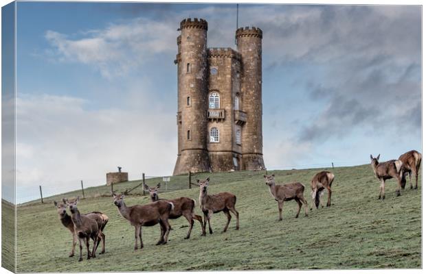 Broadway Tower, Broadway, Worcestershire Canvas Print by Jonathan Smith