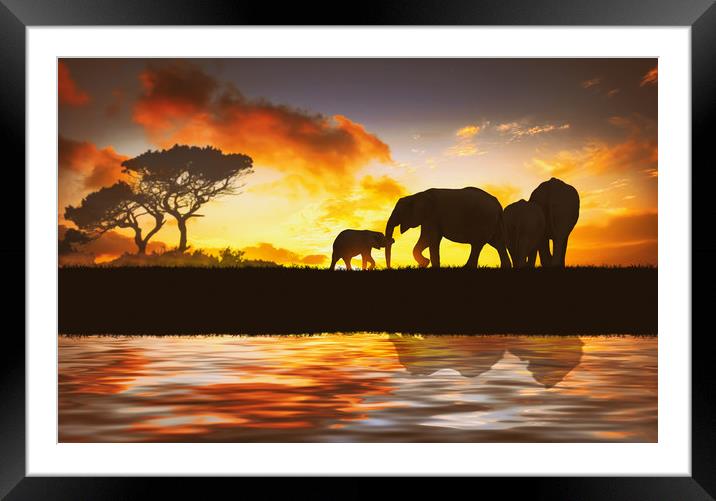 family of elephants Framed Mounted Print by Guido Parmiggiani