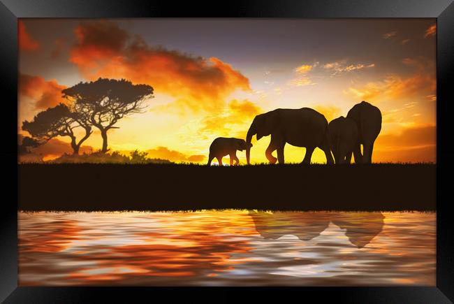 family of elephants Framed Print by Guido Parmiggiani