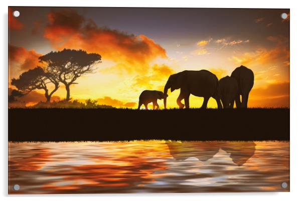 family of elephants Acrylic by Guido Parmiggiani