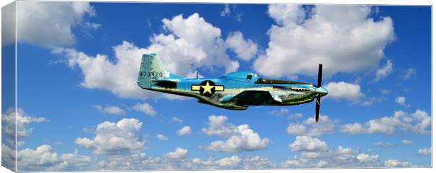 Mustang in the Clouds Canvas Print by Beach Bum Pics