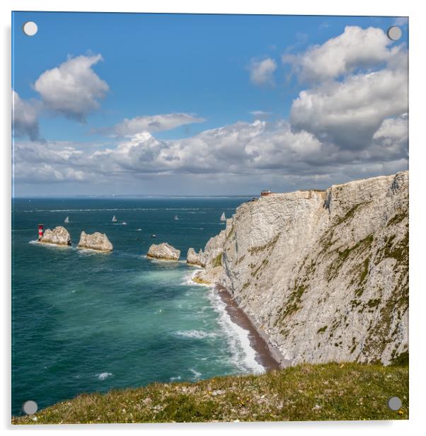 The Needles Isle Of Wight Acrylic by Wight Landscapes