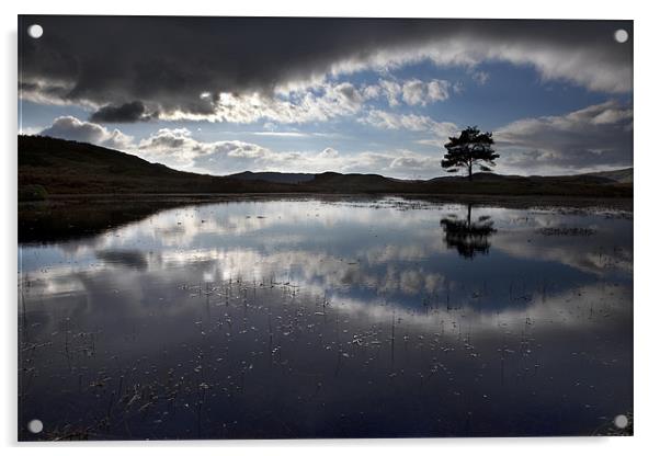 Kelly Hall Tarn - Cumbria Acrylic by Steve Glover