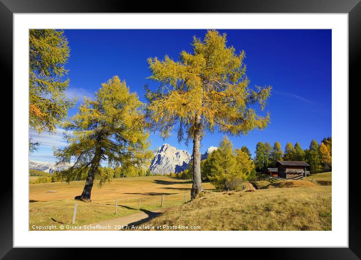 Autumn in the Seiser Alm Framed Mounted Print by Gisela Scheffbuch