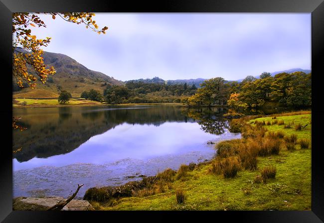 Autumn by Grasmere in the Lake District Framed Print by Jacqi Elmslie