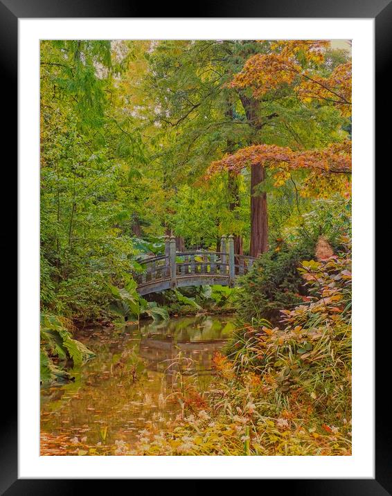 Autumn Garden Framed Mounted Print by Victor Burnside