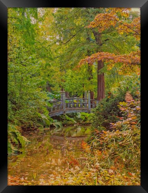 Autumn Garden Framed Print by Victor Burnside