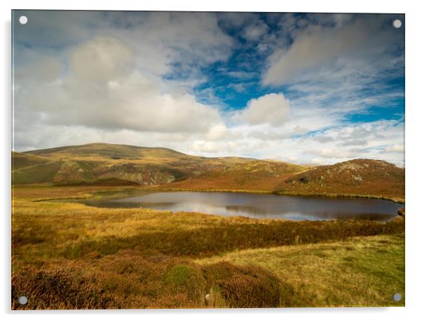 The Bearded Lake - Llyn Barfog Acrylic by Colin Allen