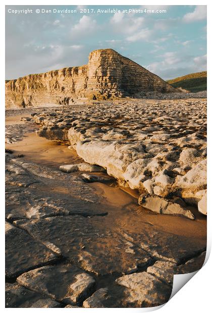 Nash Point Portrait Print by Dan Davidson