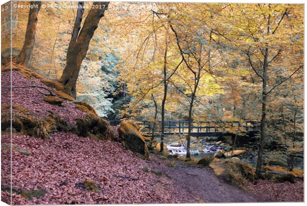 autumn woodland with river and bridge in Hardcastl Canvas Print by Philip Openshaw