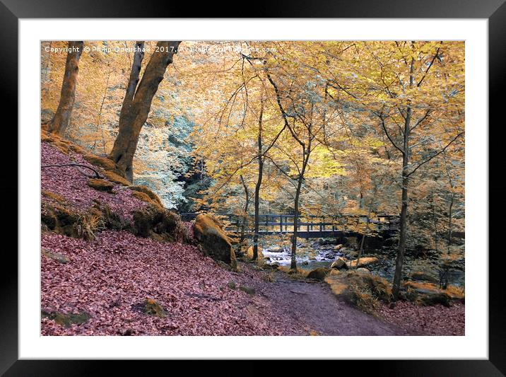 autumn woodland with river and bridge in Hardcastl Framed Mounted Print by Philip Openshaw