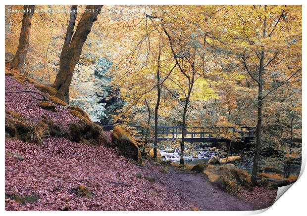 autumn woodland with river and bridge in Hardcastl Print by Philip Openshaw