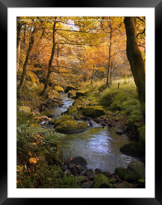 golden autumn woodland and stream Framed Mounted Print by Philip Openshaw