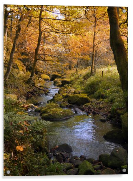 golden autumn woodland and stream Acrylic by Philip Openshaw