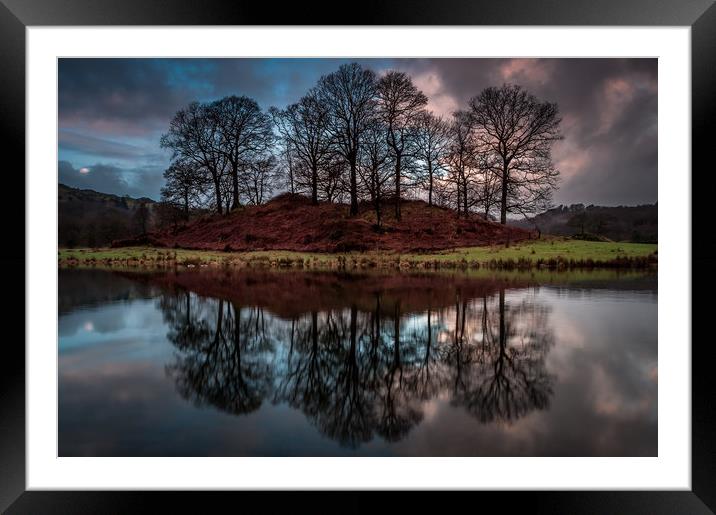 Elterwater Copse Framed Mounted Print by Paul Andrews