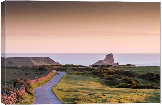 Worms Head Evening Glow Canvas Print by Mark Fender