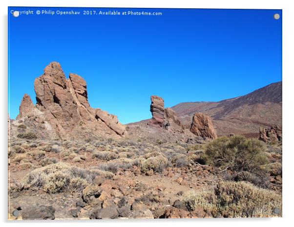 rock formations in teide national park Acrylic by Philip Openshaw