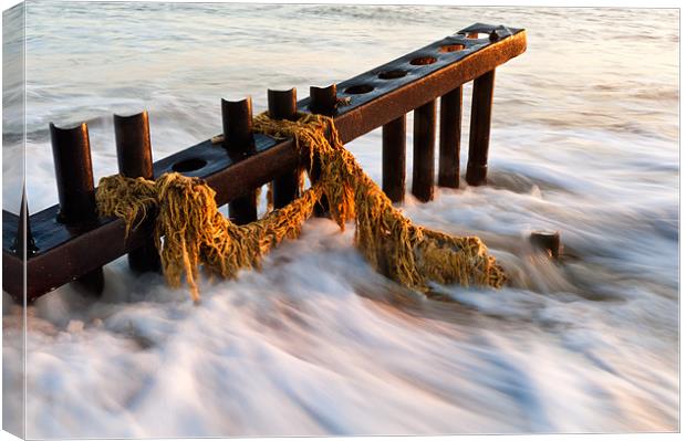 Rope and Groyne Canvas Print by Stephen Mole