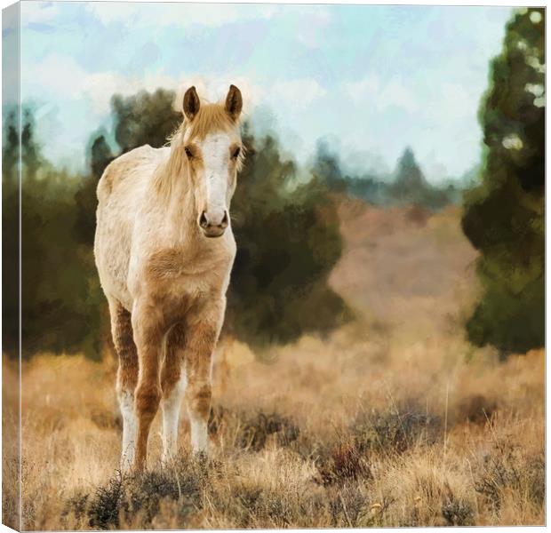 Awkwardly Appealing Canvas Print by Belinda Greb