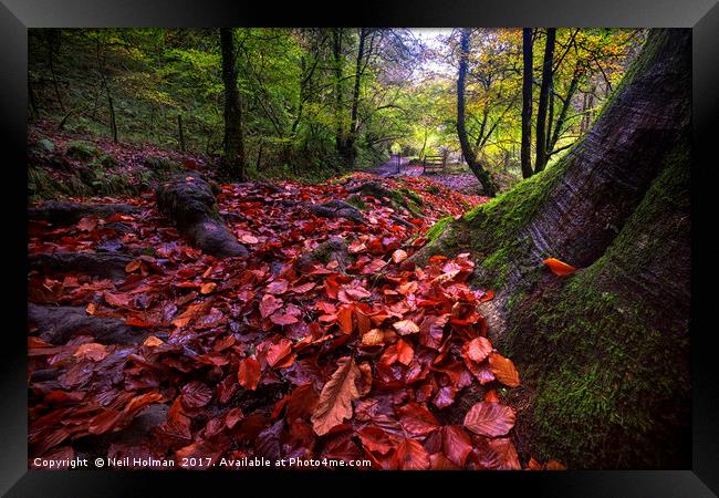 Autumn Colours at Pontneddfechan Framed Print by Neil Holman