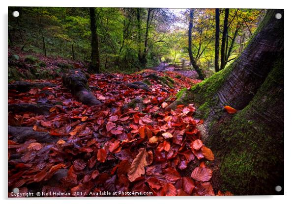 Autumn Colours at Pontneddfechan Acrylic by Neil Holman