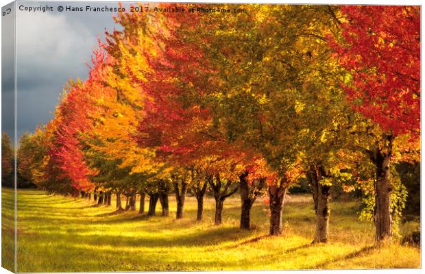 All the Autumn colors Canvas Print by Hans Franchesco