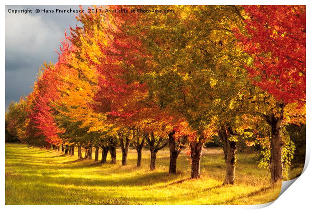 All the Autumn colors Print by Hans Franchesco