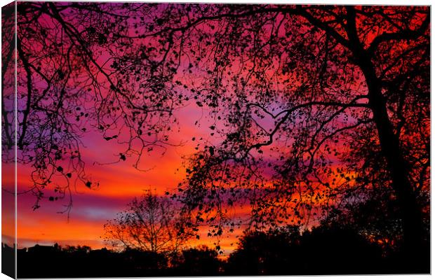 Sunrise in Green Park Canvas Print by Steve Brand