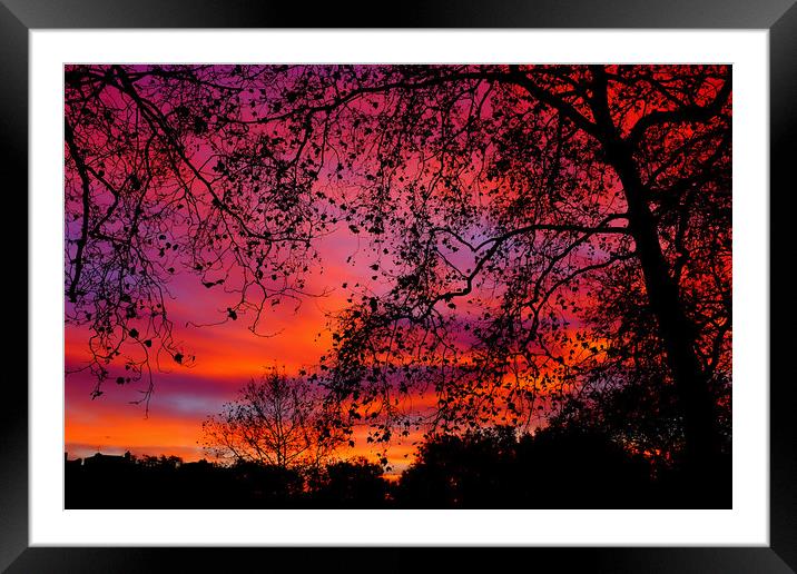 Sunrise in Green Park Framed Mounted Print by Steve Brand