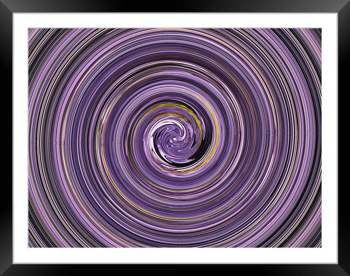 lilac flower swirl Framed Mounted Print by kelly Draper