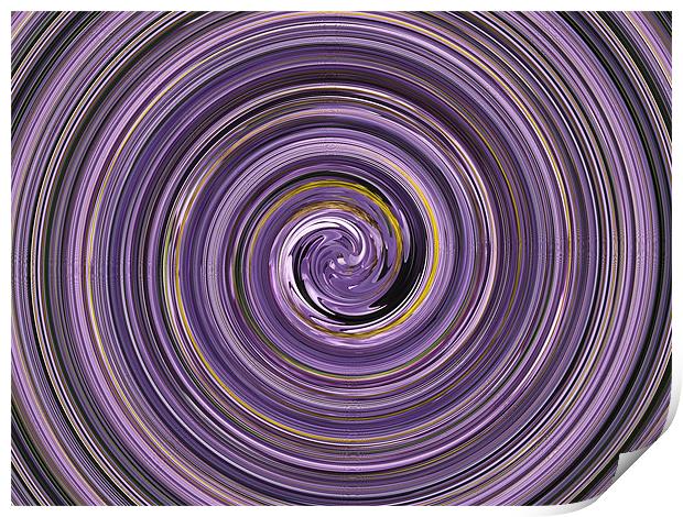 lilac flower swirl Print by kelly Draper
