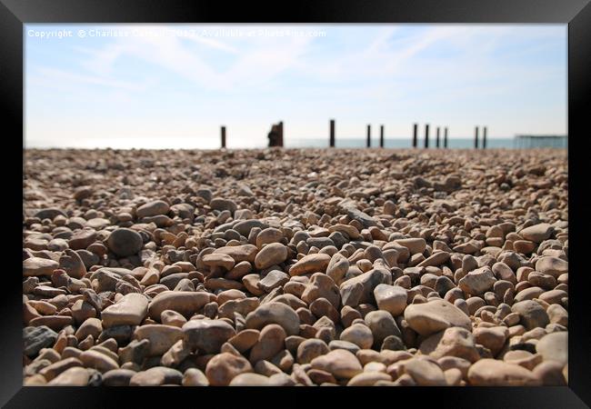 Pebbles are the new sand Framed Print by Charisse Carson