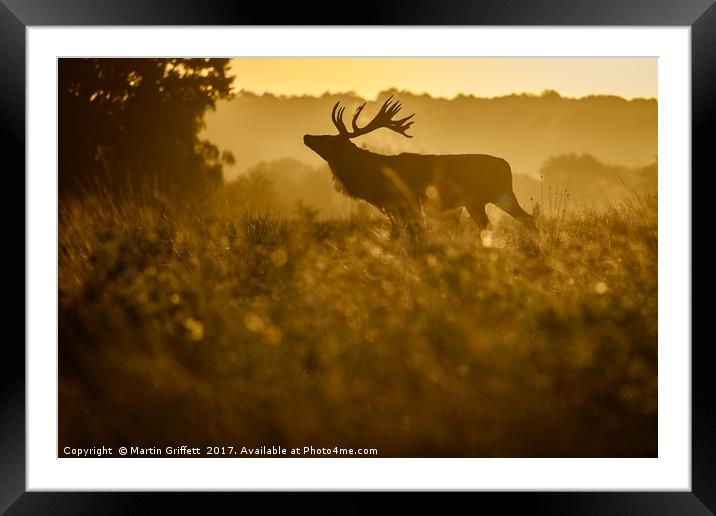 Sunrise Stag Silhouette Framed Mounted Print by Martin Griffett