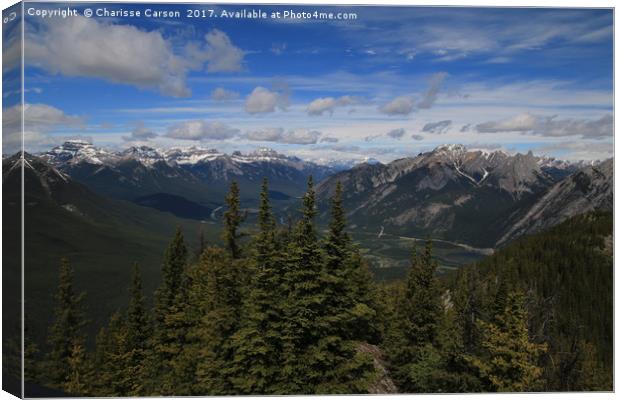 Top of the Rockies Canvas Print by Charisse Carson