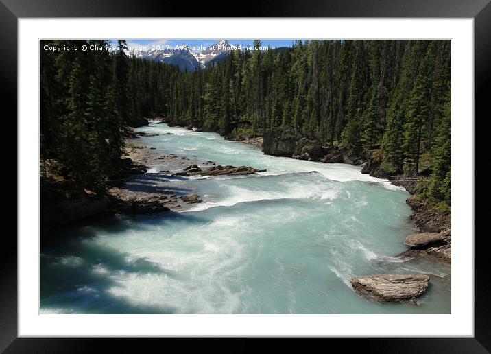 Runaway River Framed Mounted Print by Charisse Carson