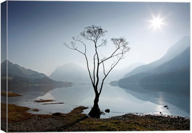 Morning mist on Buttermere Canvas Print by Martin Lawrence