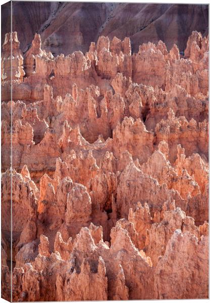 Bryce Canyon at Sunrise Canvas Print by Luc Novovitch
