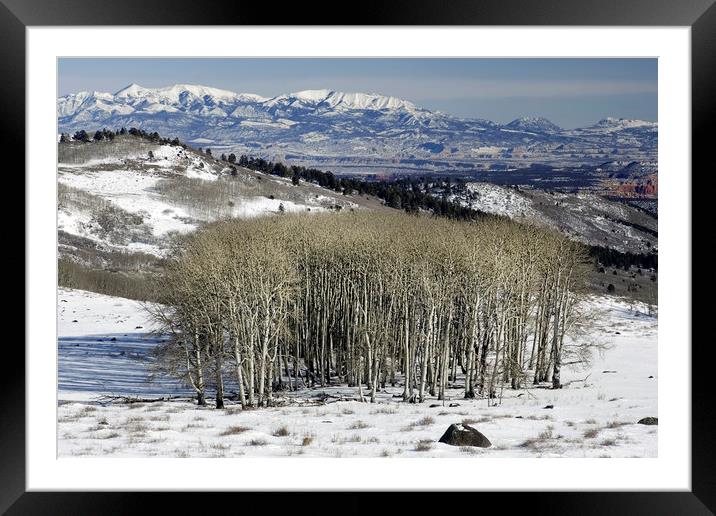 Utah Landscape in Winter Framed Mounted Print by Luc Novovitch