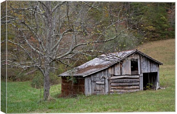 Tennessee Old Barn Canvas Print by Luc Novovitch