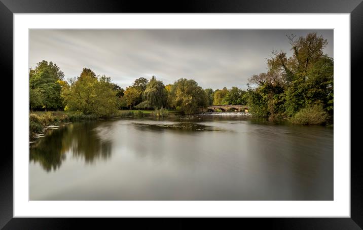 Autumn Parkland Framed Mounted Print by Chris Rafferty