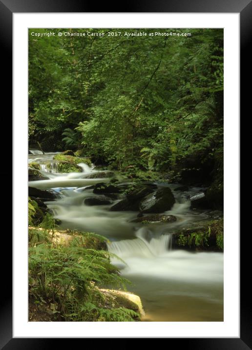 Runaway stream Framed Mounted Print by Charisse Carson