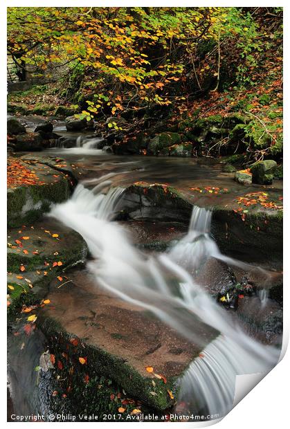 Clydach Gorge Waterfall in Autumn. Print by Philip Veale