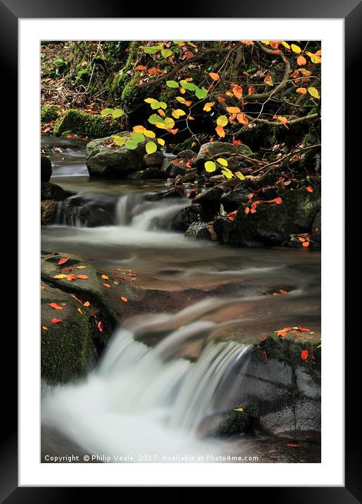Clydach Gorge Falls in Autumn. Framed Mounted Print by Philip Veale