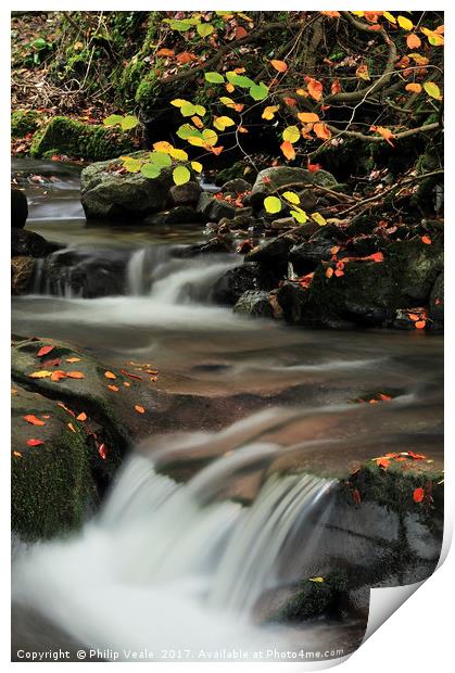 Clydach Gorge Falls in Autumn. Print by Philip Veale